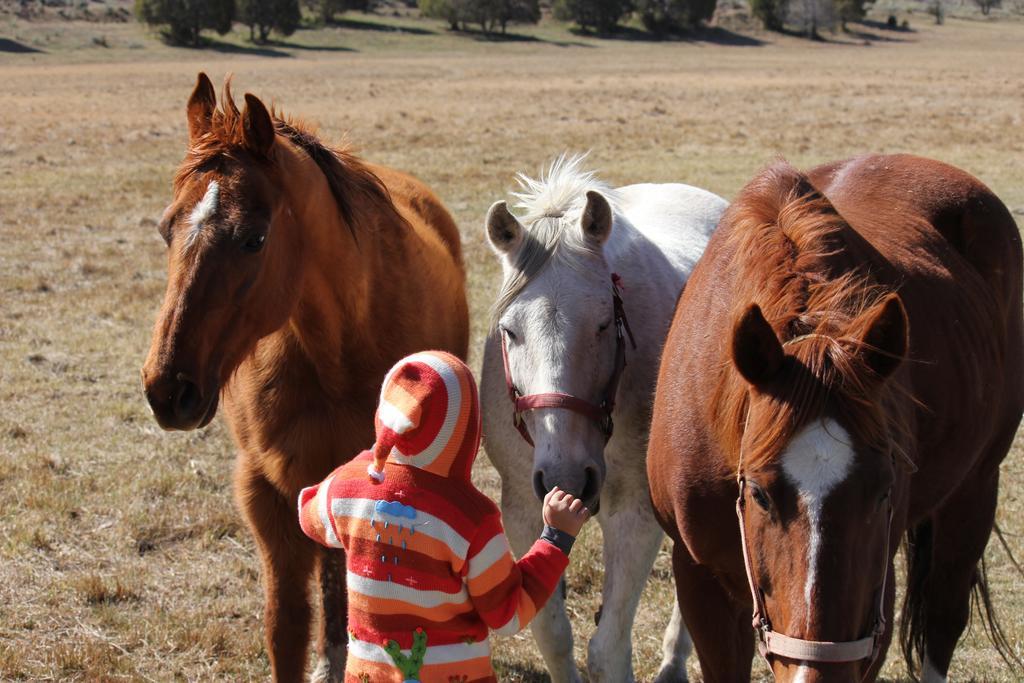 Sevier River Ranch & Cattle Company Хеч Екстериор снимка